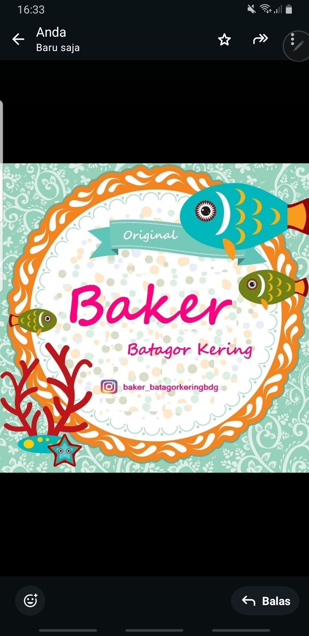 Baker batagor kering