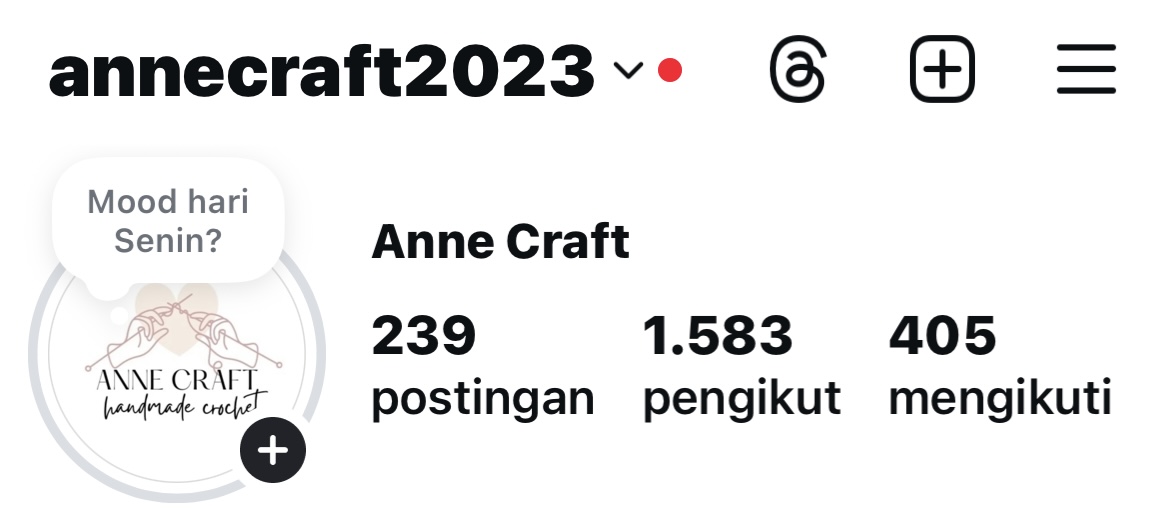 AnneCraft